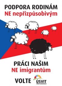 V Česku smějí politici beztrestně štvát lid proti cizincům