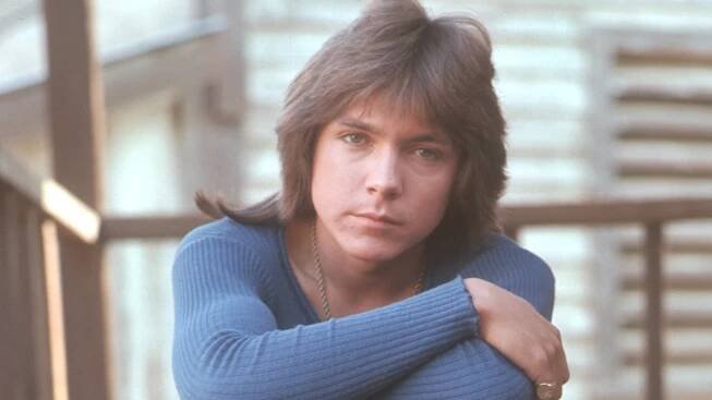 David Cassidy: The Ultimate '70s Teen Idol