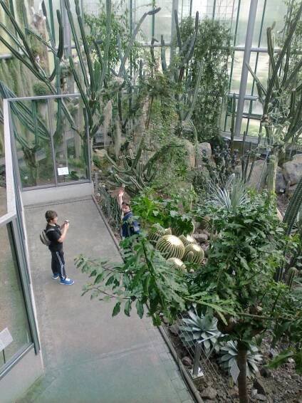 Botanická zahrada v Liberci | ZŠ Jablonec nad Nisou, 5.května 76
