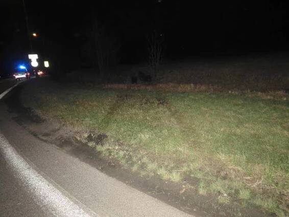 Po nehodě v Orlové skončilo BMW mimo silnici, policisté pátrají po vozidle, které údajně ujelo | Týdeník Policie