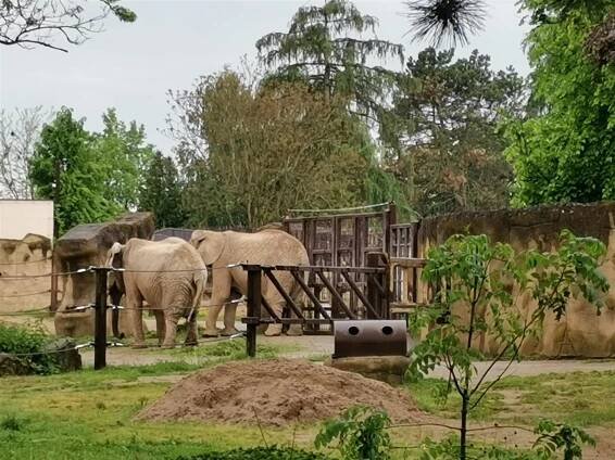 Výlet do ZOO