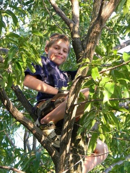 Climbing Trees - The Adventures of Kitt the Kid