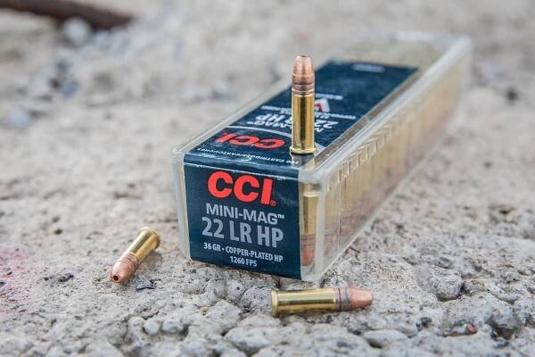 .22 vs. .17 HMR: Which Cartridge is Better?