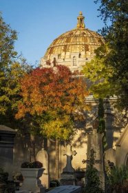 Autumn colours at Père Lachaise Cemetery — Aperture Tours