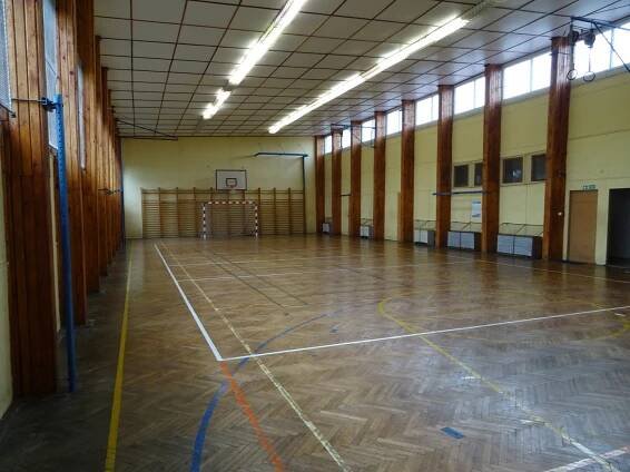 ČUS