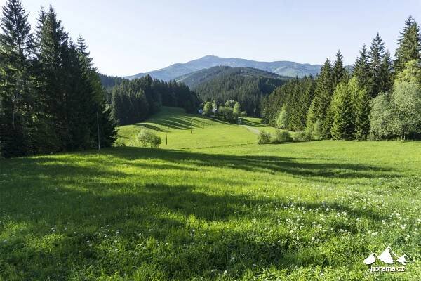 Z Ostravice za borůvkovými knedlíky na Doroťanku přes Gruň a Bílý Kříž | Horama