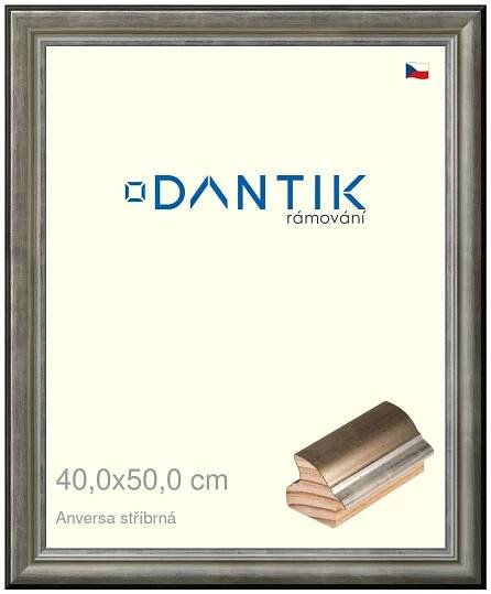 DANTIK rámeček na obraz 40x50 | ANIVERSA stříbrná (Sklo Čiré)