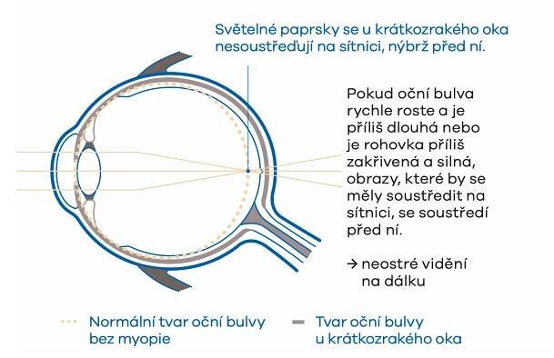 Snímek obrazovky 2023-02-06 v 9.27.05