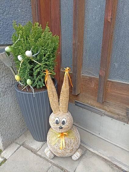 Prohlížečka obrázků