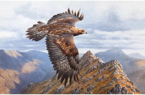 The high kingdom, golden eagle print by Andrew ellis