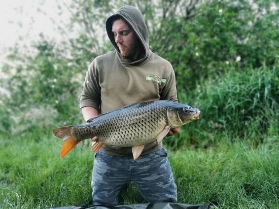 Konec května - Freefish.cz