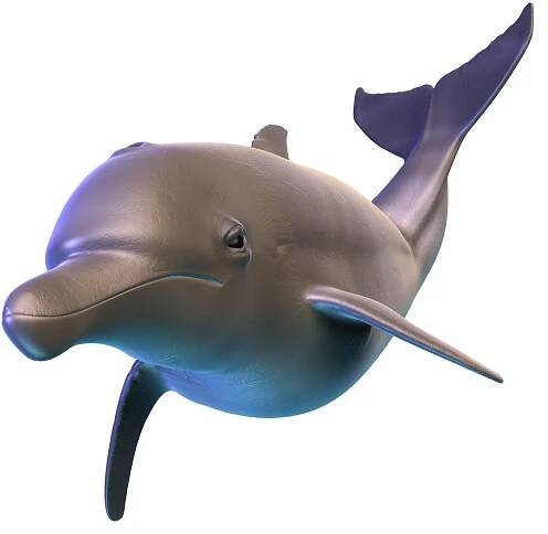Craft Visuals - Whale Song Slot Machine