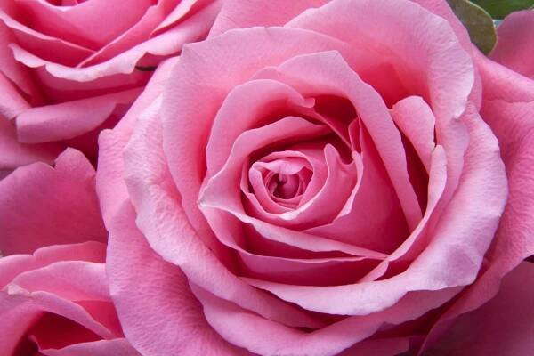 Renewed Your Membership Yet? - WomenBizSENSE