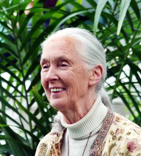 List of awards and honours received by Jane Goodall