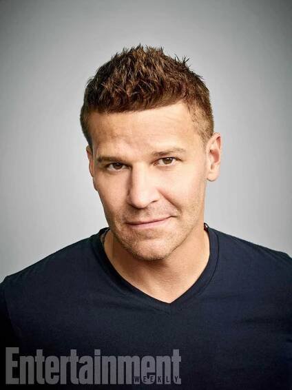 David Boreanaz Reflects on 'Buffy': 'I Was in the Right Spot at the Right Time'
