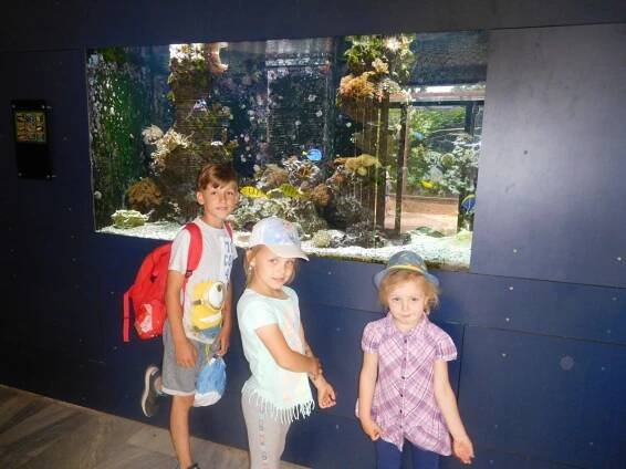 Výlet dětí MŠ a rodičů – ZOO Brno – Základní škola a Mateřská škola Žďárná