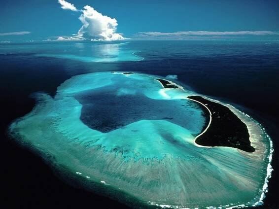 T88DF Palau