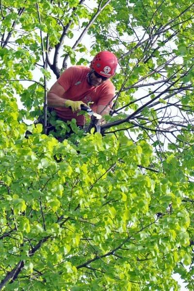 Arborista Antonín Ambros z Holešova: Při prvním lezení jsem se hodně bál