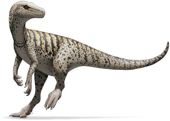 Herrerasaurus.