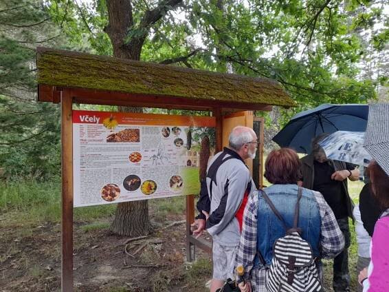 Arboretum Sofronka - nádherný kus přírody ve městě - Bolevec, Senioři - TOTEM Plzeň