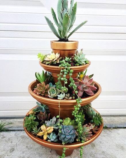 Succulent Fountain for Your Cactus Garden