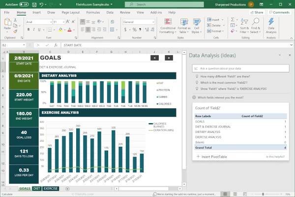 Microsoft Excel Screenshot