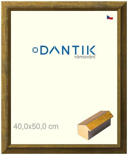 DANTIK rámeček na obraz 40x50 | Forgia Gold (Sklo Čiré)