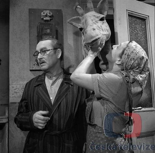 Pučálkovic Amina - Z filmu - Jiří Pleskot, Dana Medřická