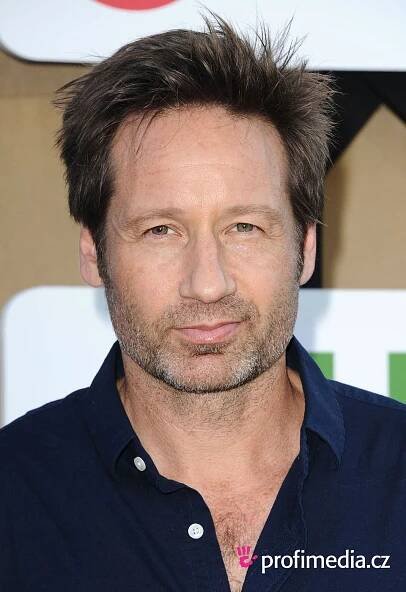 David Duchovny - celebrity účes - HappyHair