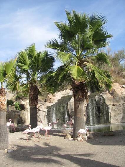 Můj kousek ráje - Costa de Almería - Modrý koník