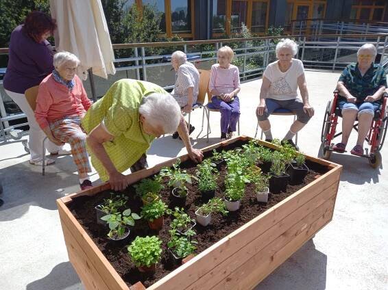 Projekt zahradničení v domovech pro seniory - Dům seniorů Františkov, Liberec, příspěvková organizace
