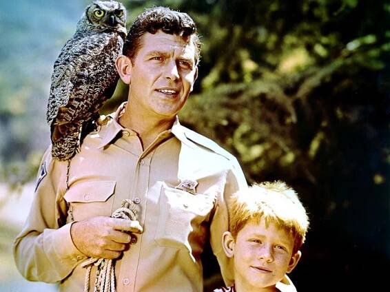 The Andy Griffith Quiz