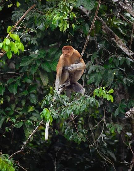 Sabah Itinerary 7 Days: Best Things To Do In 2025