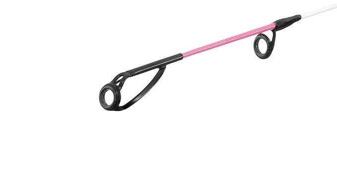 Delphin DIMENZIA