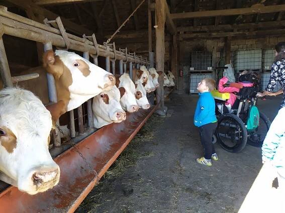 Děti na statku | Rodinná farma Placandů