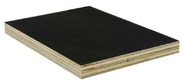 PV FOLI EUCALYPTUS 2500/1250/21