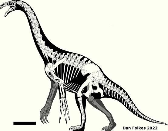 Therizinosaurus info — THECODONTIA