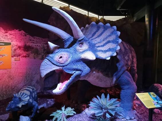 DinoPark Plaza Liberec