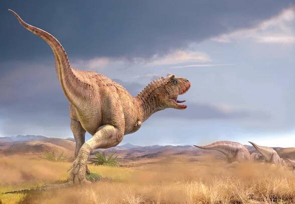 Carnotaurus: Steckbrief & 6 Merkmale des Dinosauriers » schreiben.net