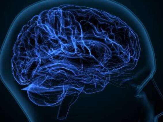 Study finds 4 best nuts for brain health and 5 easy snack recipes to try at home