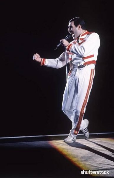 Freddie Mercury Photos: Through the Lens of Photographer Richard Young