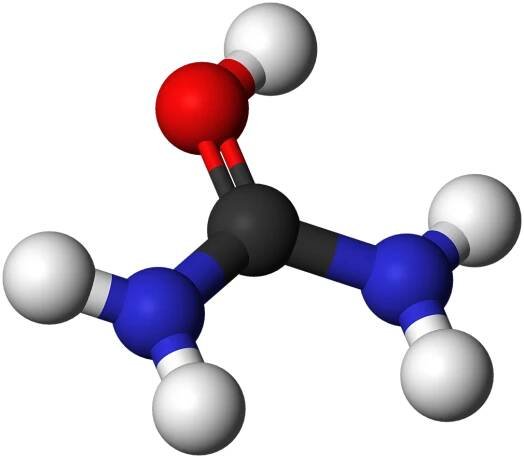 Soubor:Urea-cation-3D-balls.png