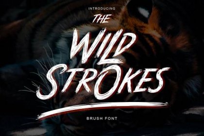 The Wild Strokes - Wild Brush Font