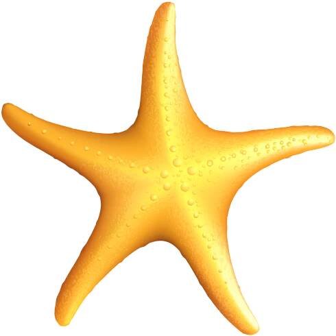 Free Ocean Starfish Cliparts, Download Free Ocean Starfish Cliparts png ...