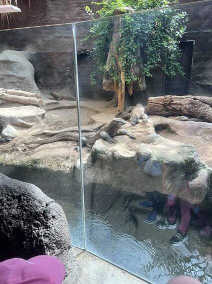 ZOO Praha 2024 - Oficiální stránky MŠ Nelahozeves