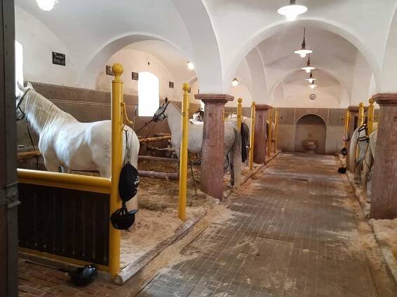 Výlet se starostou Kladruby – Město Desná