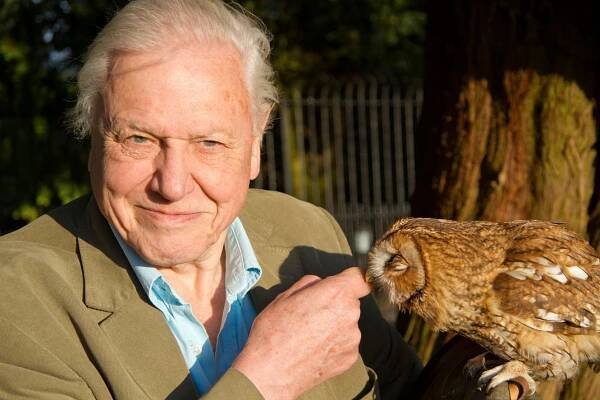 Přírodní kuriozity Davida Attenborougha - Série 2 - Život ve tmě - Z filmu - David Attenborough