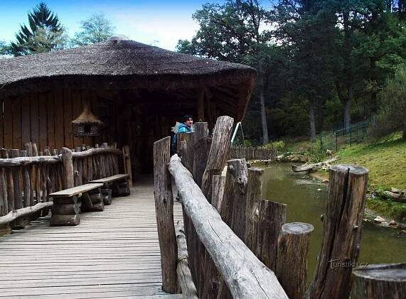 Procházka expozicí Etiopie v ZOO Lešná, Zlín