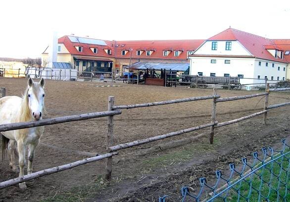 Seznam zoologických zahrad a minizoo v Praze – Wikipedie