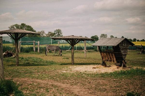 Fotogalerie - Zoo Stežery